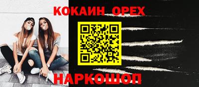 шишки Обь