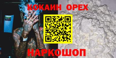 шишки Обь