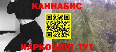 шишки Обь