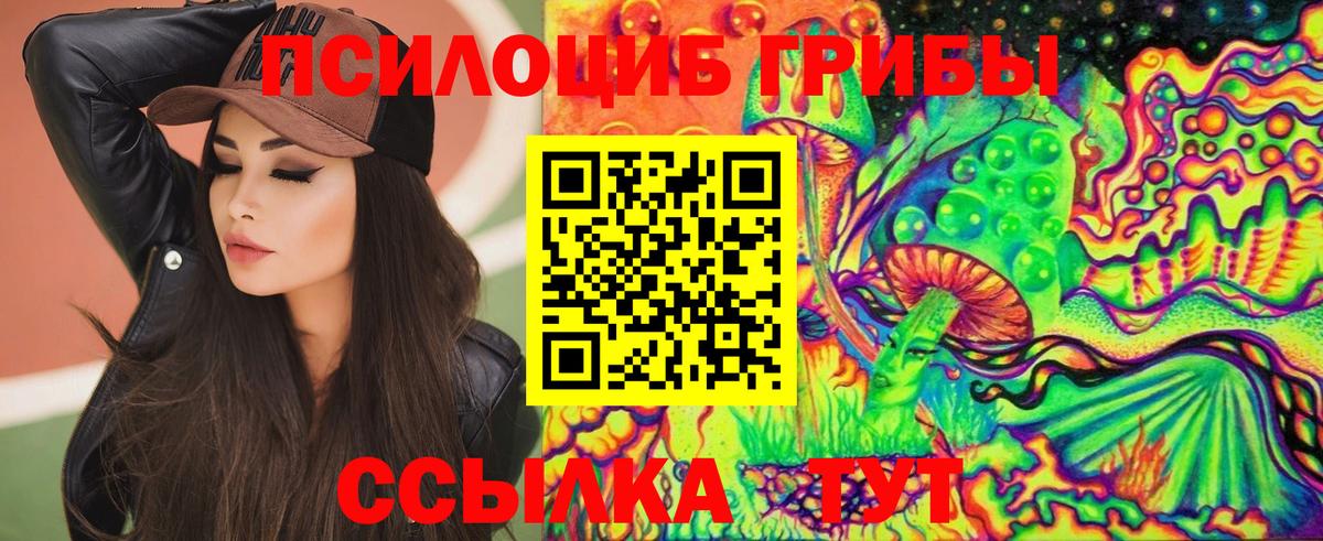 Прокопьевск  Псилоцибиновые грибы Magic Shrooms  где найти наркотики  Вход с VPN 